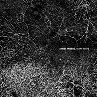 Ahnst Anders - Many Ways