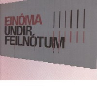 Einóma - Undir Feilnótum