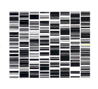 Ryoji Ikeda - Test Pattern