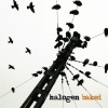 review: Halogen - Baked